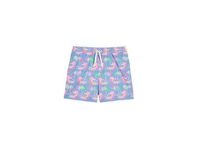 Chubbies The Rock-a-crocs (boys Lined Swim Trunk) (big Kid) Boy's Swimwear Dusty Blue/pattern Base : Xs (6/7 