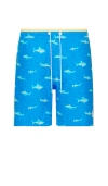 Chubbies The Secret Tides 7 Swim Short In Blue