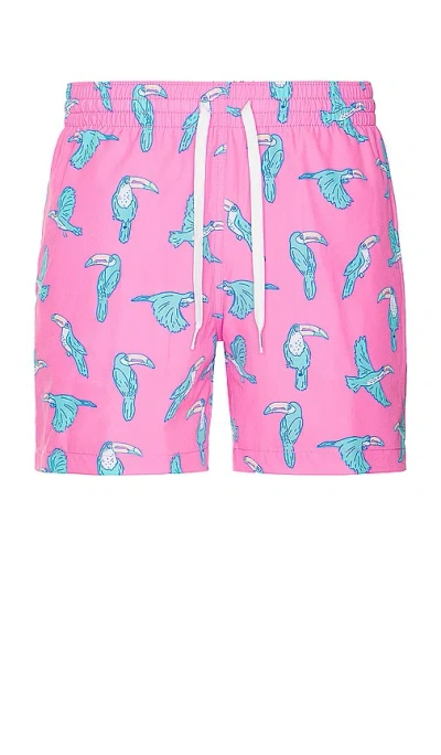 Chubbies The Toucan Do Its 5.5 Swim Short In 艳丽粉