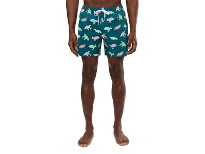Chubbies The Turtally Awesomes 5.5 (classic Lined Swim Trunks) In Multi