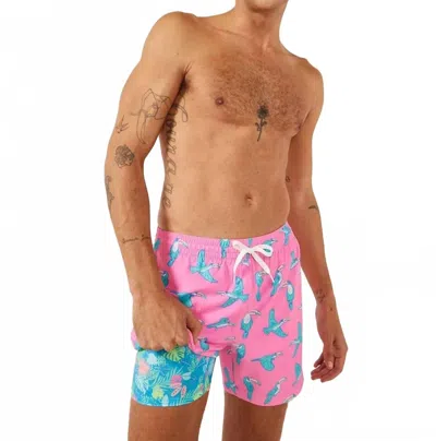 Chubbies Toucan Do Its Swim Trunk In Pink Birds In Multi