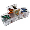 Chunks Medium Box Hair Claw Clip Butterfly In Butterfly