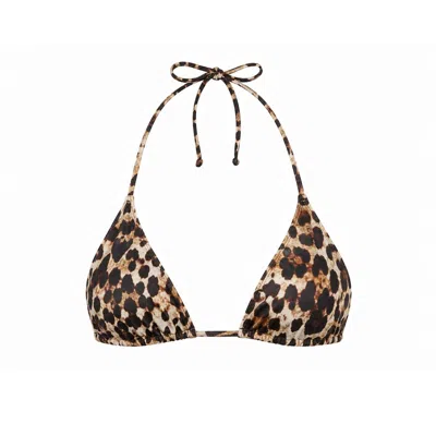 Ciao Bella Monte Carlo Women's Brown / Black La Tigresse Top In Animal Print