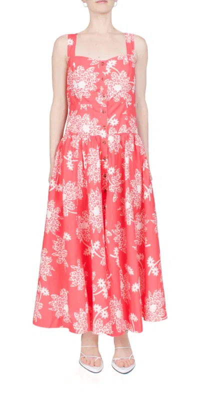 Ciao Lucia Hoku Dress In Paradise In Multi