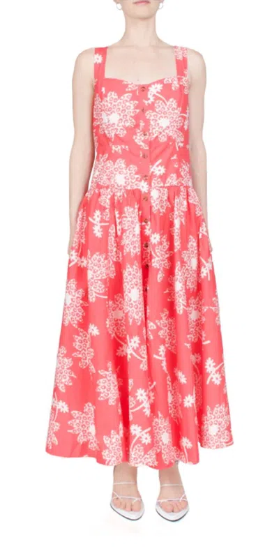 Ciao Lucia Hoku Dress In Paradise In Pink