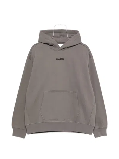 Ciaran Logo-embroidered Hoodie In Brown