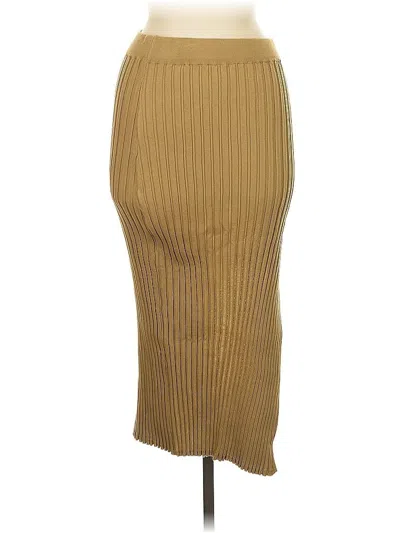 Pre-owned Cider Casual Skirt In Brown