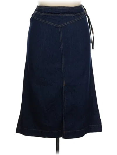 Pre-owned Cider Denim Skirt In Blue