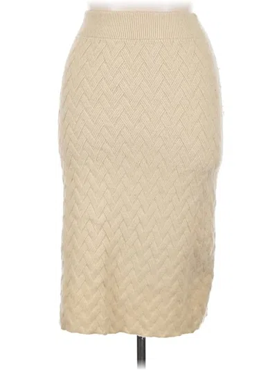 Pre-owned Cider Formal Skirt In Tan