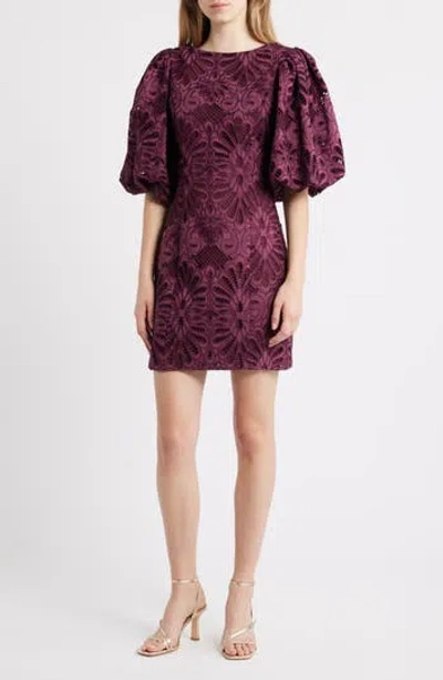 Ciebon Kesia Embroidered Paisley Minidress In Brown
