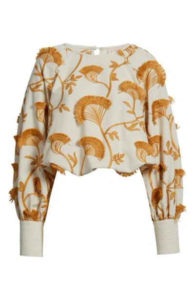 Ciebon Lenny Embroidered Long Sleeve Crop Top In Multi