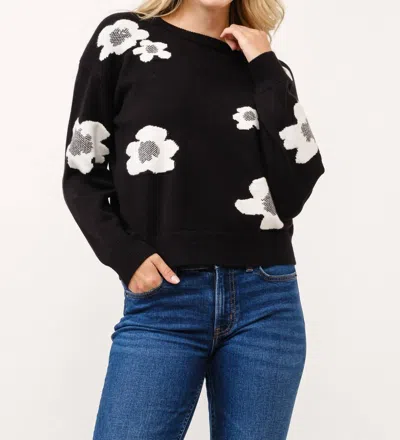 Cielo A Midnight Garden Sweater In Black