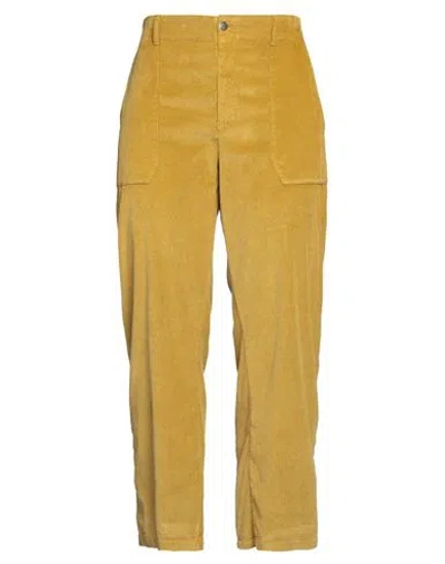 Cigala's Woman Pants Mustard Size 30 Cotton, Modal, Polyester, Elastane In Yellow