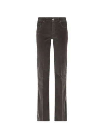 Cigala's Pressed-crease Velvet Trousers In Brown