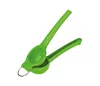 Cilio Aluminum Limetta Lime Squeezer, Green In Green