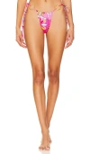 Cin Cin Cove String Bottom In Boheme Pink