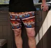 Cinch Men's Camp Collection Swim Trunks In Multi