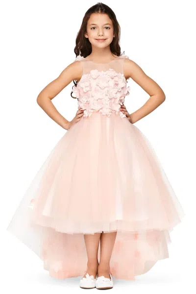 Cinderella Couture 5077n In Pink