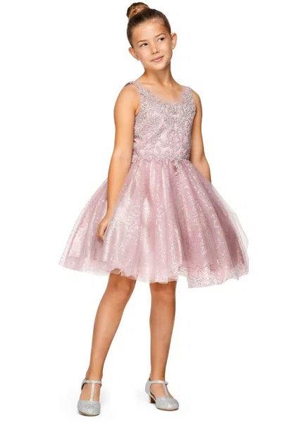 Cinderella Couture 5088 In Pink