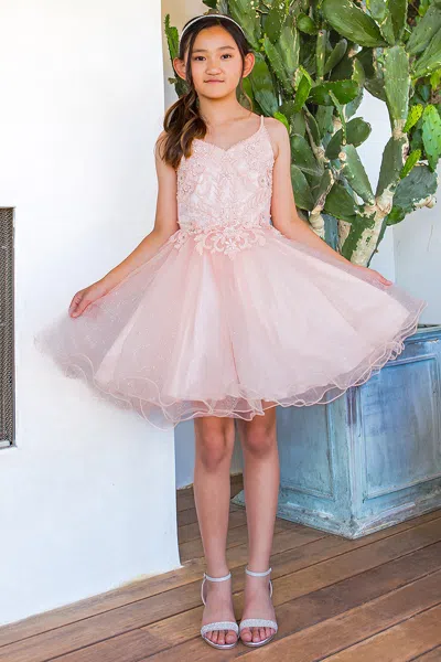 Cinderella Couture 5112 In Pink