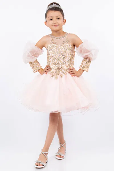 Cinderella Couture 5113 In Pink