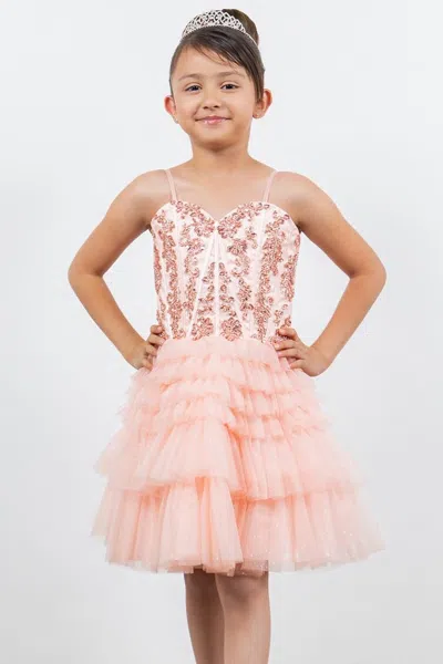 Cinderella Couture 5133 In Pink