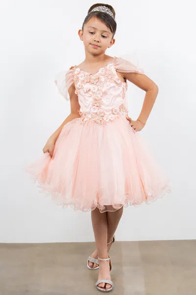 Cinderella Couture 5134 In Pink