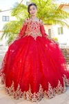 Cinderella Couture 8059 Glitter Lace Applique Flower Girl Dress In Red