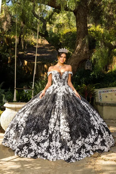 Cinderella Couture 8070j Floral Long Ball Gown Quinceanera Dress In Black