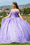 Cinderella Couture 8111j Long Ball Gown Glitter Applique Quinceanera Dress In Purple