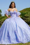 Cinderella Couture 8115j Long Ball Gown 3d Floral Quinceanera Dress In Blue
