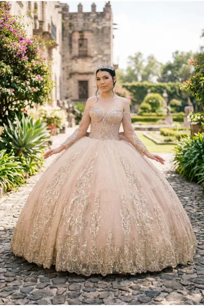 Cinderella Couture 8545jq In Neutral
