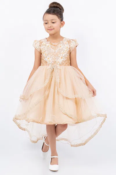Cinderella Couture 9123 High Low 3d Floral Applique Flower Girl Dress In Brown