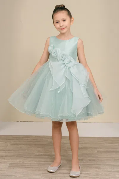Cinderella Couture 9128 Formal 3d Floral Applique Short Flower Girl Dress In Blue