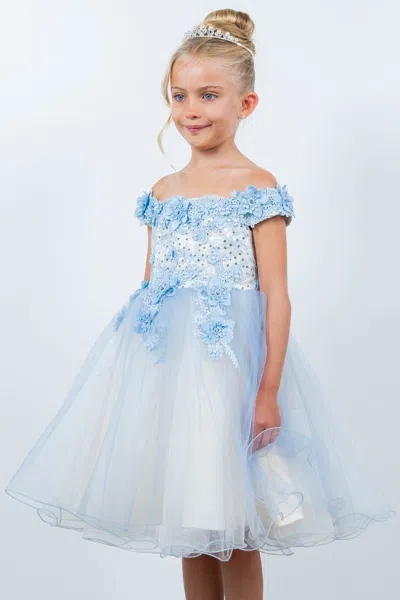 Cinderella Couture 9130 Short 3d Floral Applique Flower Girl Dress In Blue