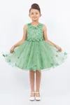 Cinderella Couture 9219 Flower Girl 3d Floral Applique A Line Short Dress In Green