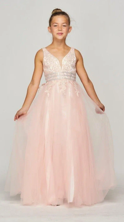 Cinderella Couture Floor Length Sleeveless Flower Girl Dress In Pink