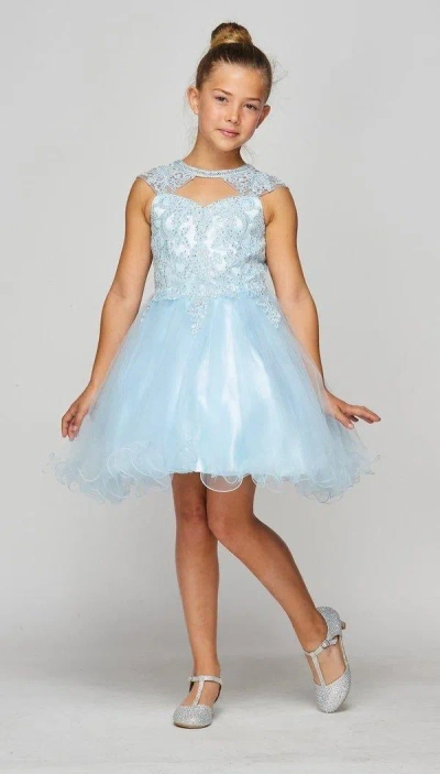 Cinderella Couture Short Flower Girl Dress Formal In Blue