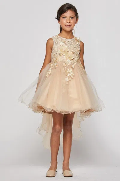 Cinderella Couture Short High Low Floral And Tulle Flower Girls Dress In Brown