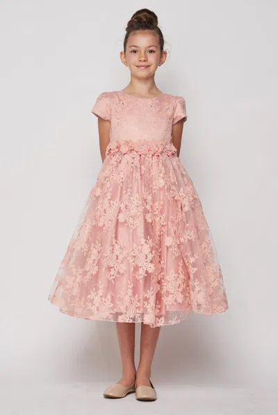 Cinderella Couture Short Sleeved Lace Flower Girls Dress In Pink