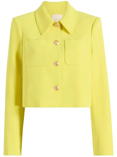 CINQ À SEPT AMANDA JACKET