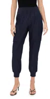 Cinq À Sept Denim Giles Pants Raw Indigo