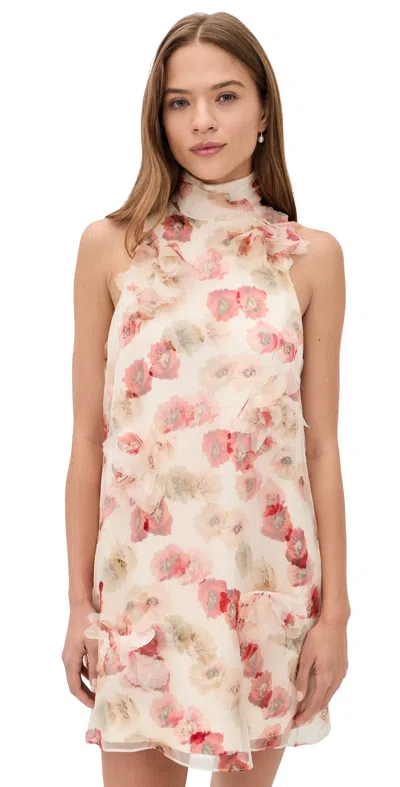 Cinq À Sept Floating Poppies Sylvia Dress Gardenia Multi In Pink