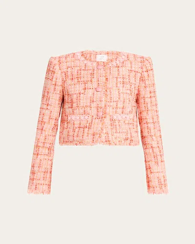 Cinq À Sept Lucie Boucle Audette Jacket In Multi