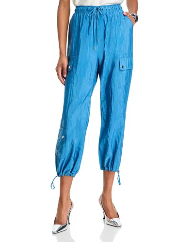 Cinq À Sept Cinq A Sept Nitsan Parachute Pants In Blue Corn