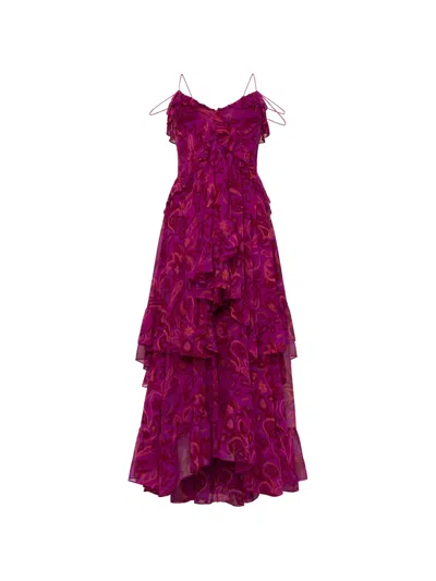 Cinq À Sept Anahi Paisley Bloom Ruffle Maxi Dress In Pink