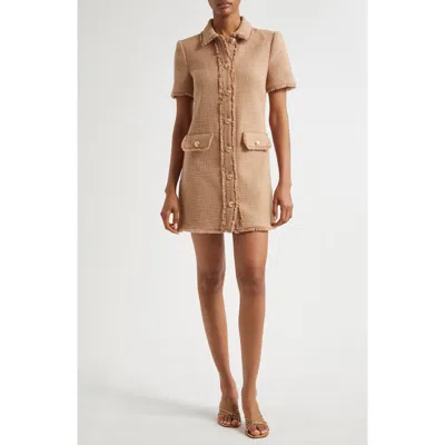 Cinq À Sept Pammy Cotton Tweed Mini Shirtdress In Brown Sugar