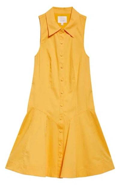 Cinq À Sept Poppy Sleeveless Stretch Twill Shirtdress In Ginger Orange