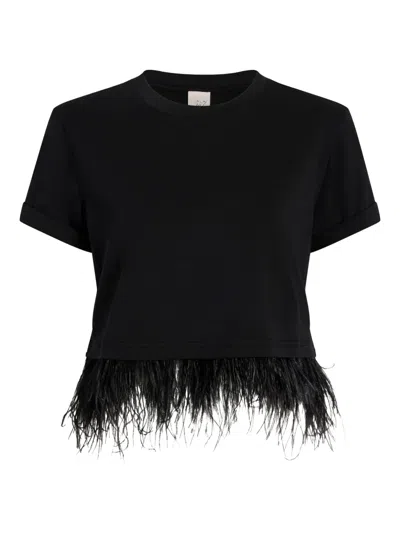 Cinq À Sept Short-sleeve Feather-trimmed Cropped T-shirt In Blue
