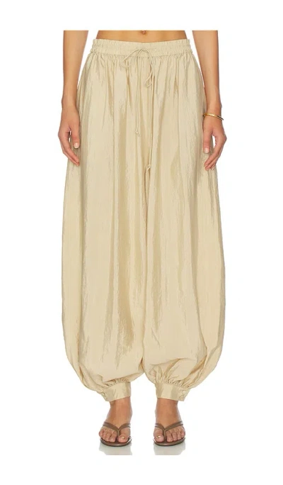 Cinq À Sept Tumbled Woven Verne Pant In Neutral